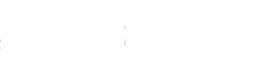 Gemini Logo